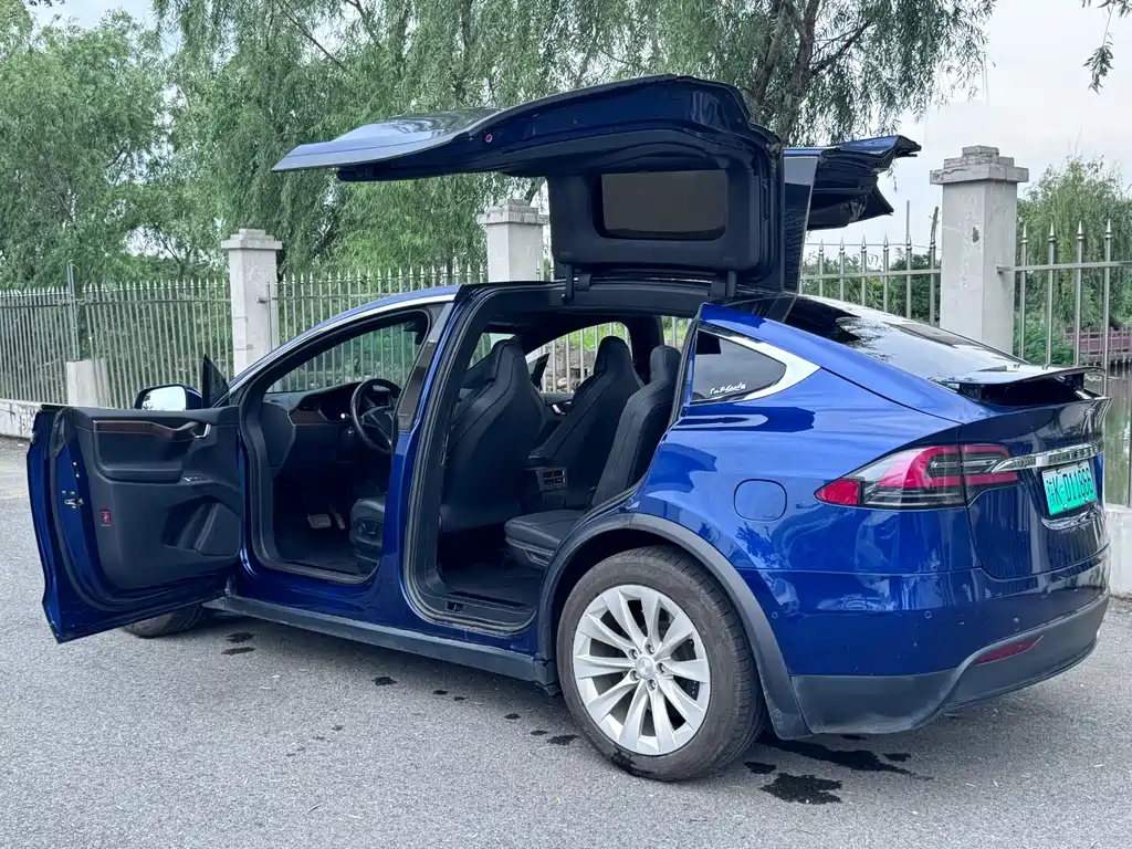 Tesla Model X 2019 — фото 16