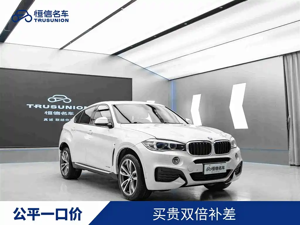 BMW X6 2019