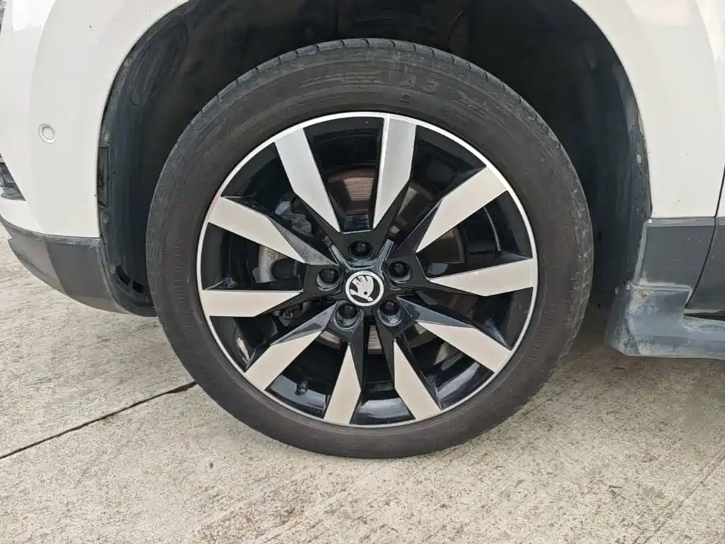 Skoda Karoq 2020 — фото 23