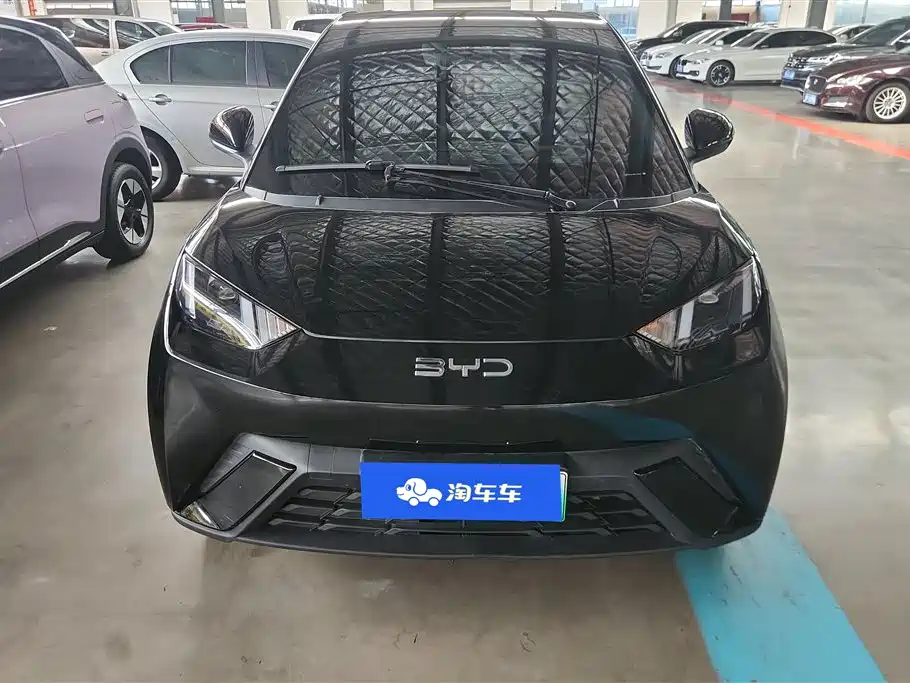 BYD Seagull 2024
