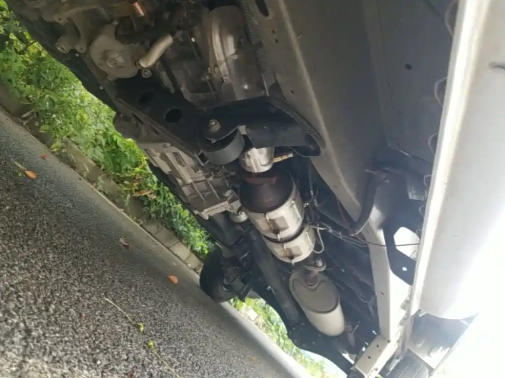 Chenggong Zebra 2025 — фото 21