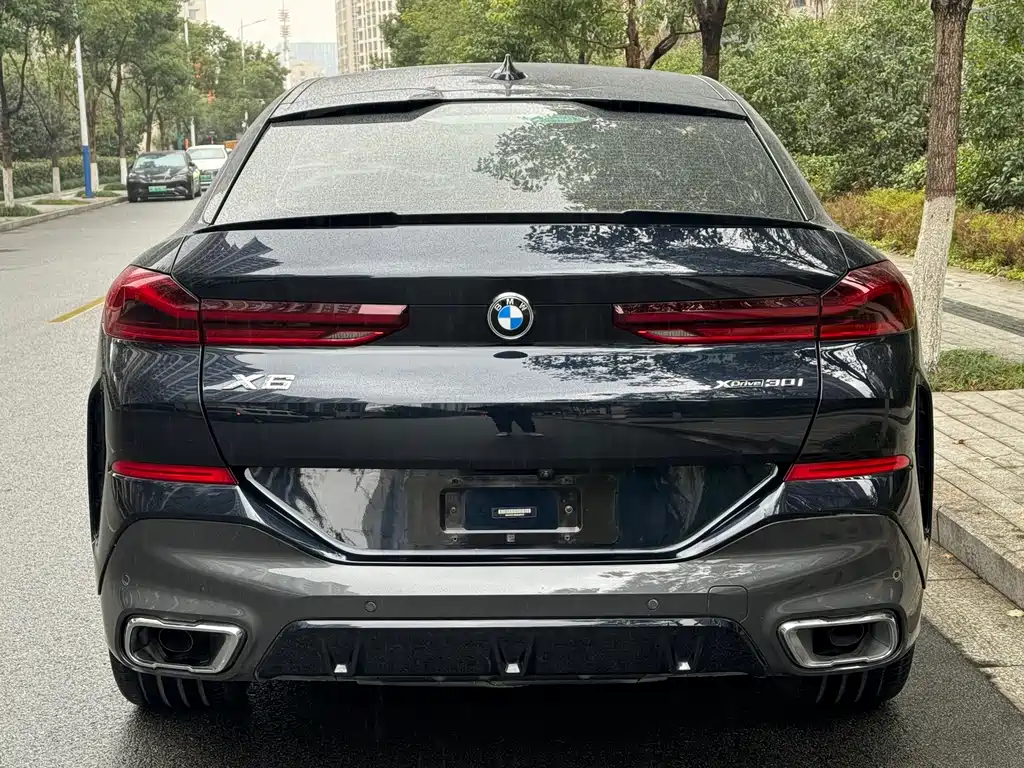 BMW X6 2021 — фото 4