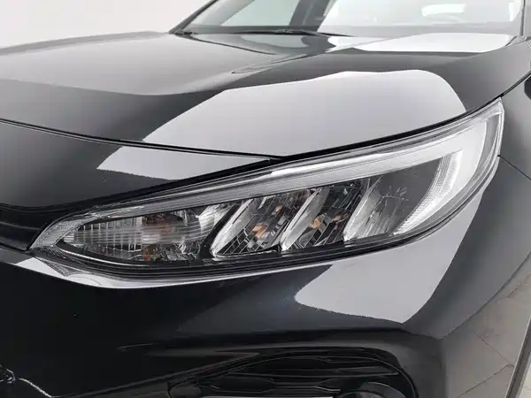 Toyota Wildlander 2021