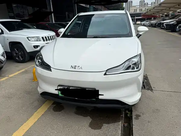 Neta V 2021