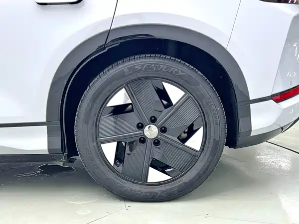 BYD Song L EV 2024