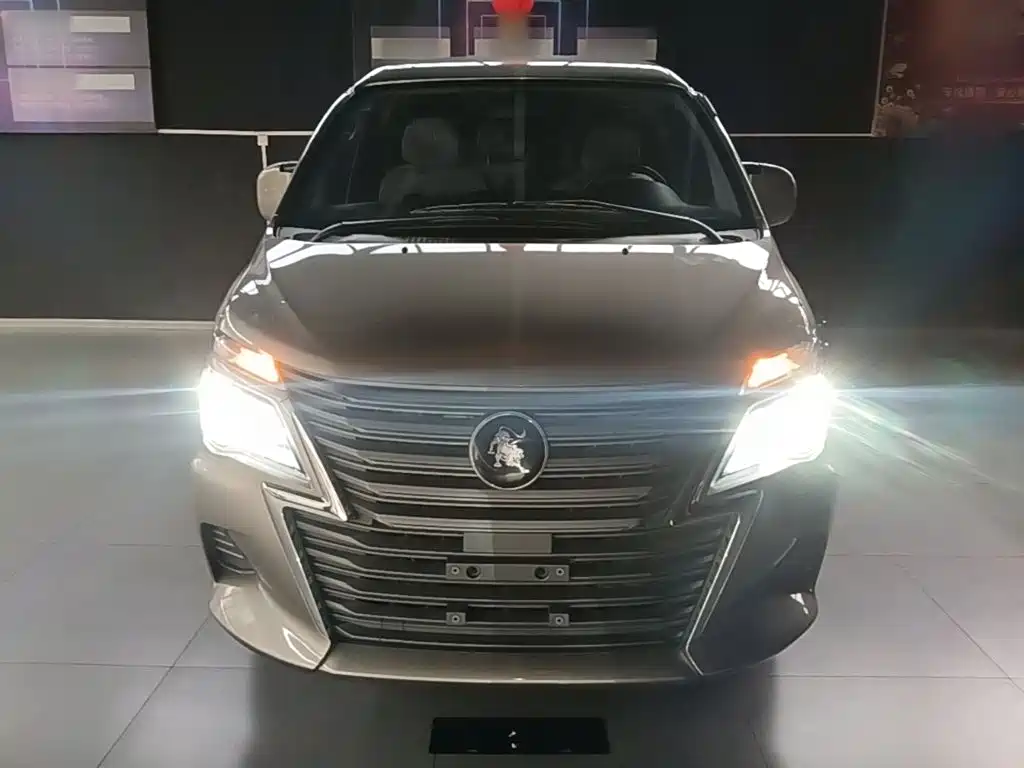 Fengxing Lingzhi 2024