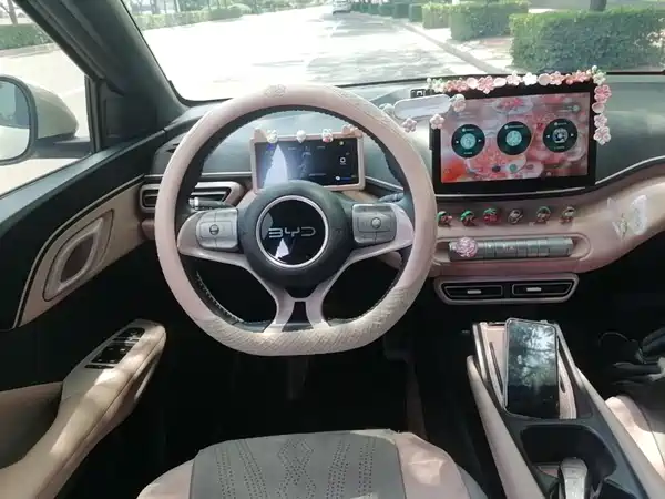 BYD Seagull 2024