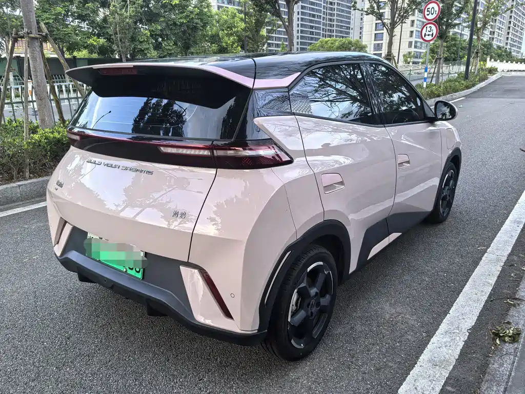 BYD Seagull 2024