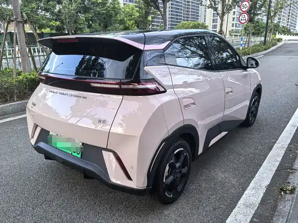 BYD Seagull 2024