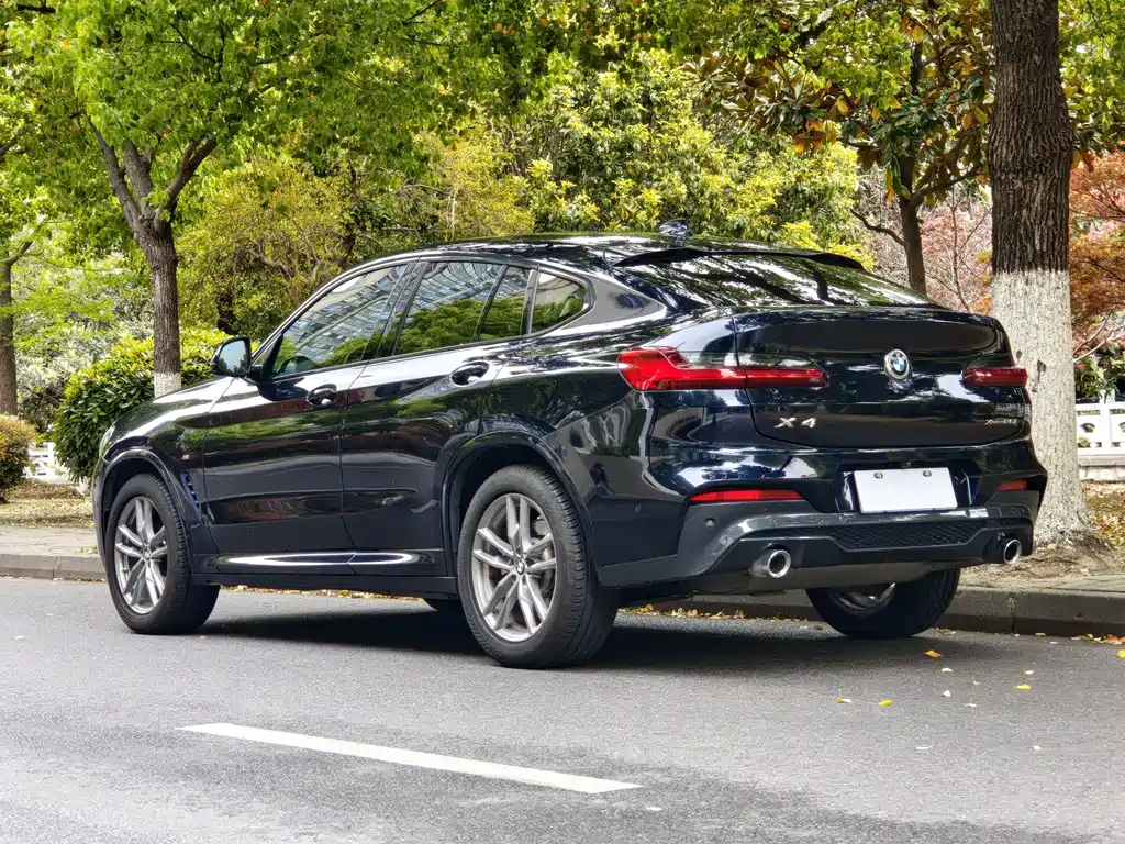 BMW X4 2020 — фото 16