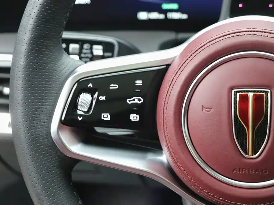Hongqi E-HS9 2023 — фото 20
