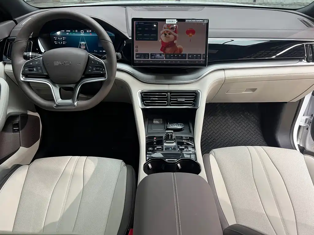 BYD Song PLUS New Energy 2024 — фото 11