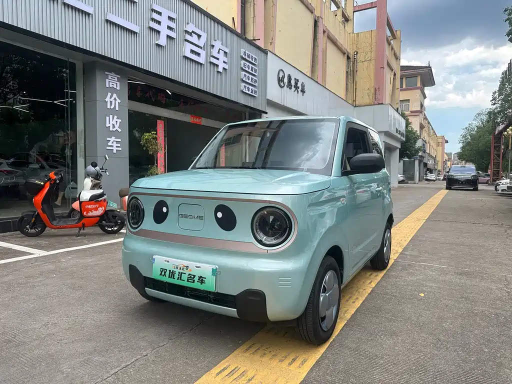 Galaxy Panda 2024