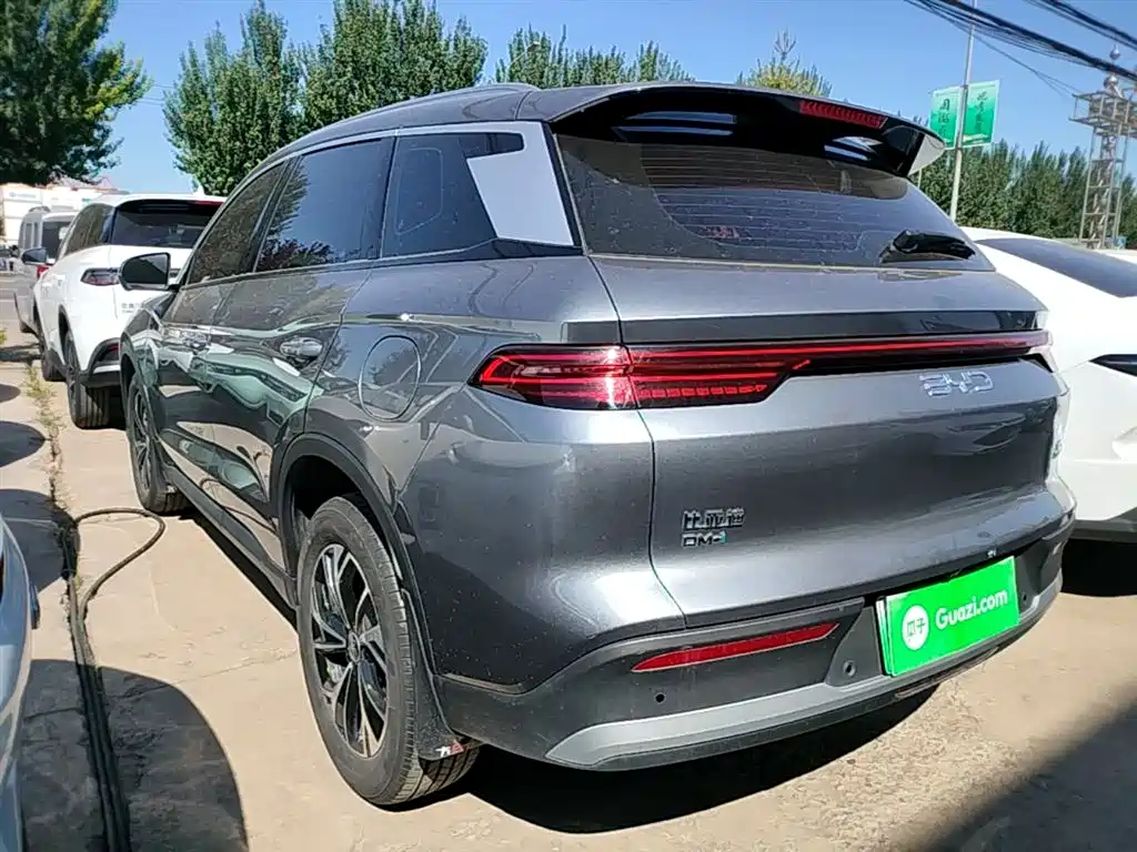 BYD Pro New Energy 2024 — фото 5