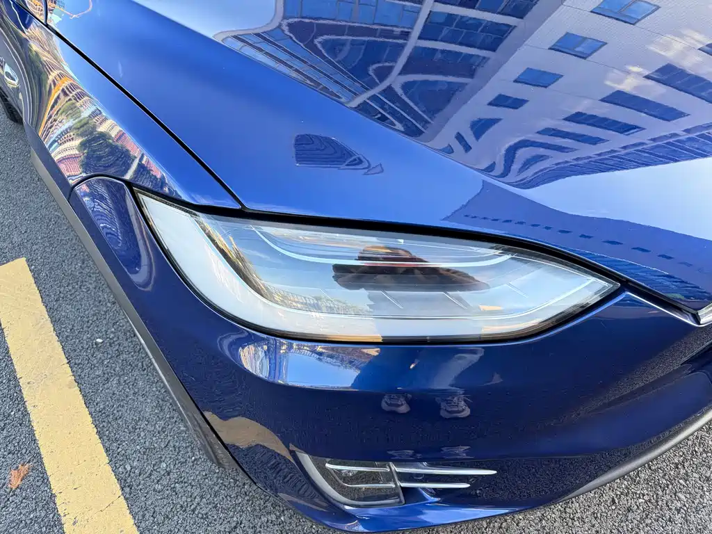 Tesla Model X 2019 — фото 5