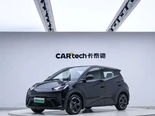 BYD Seagull 2024