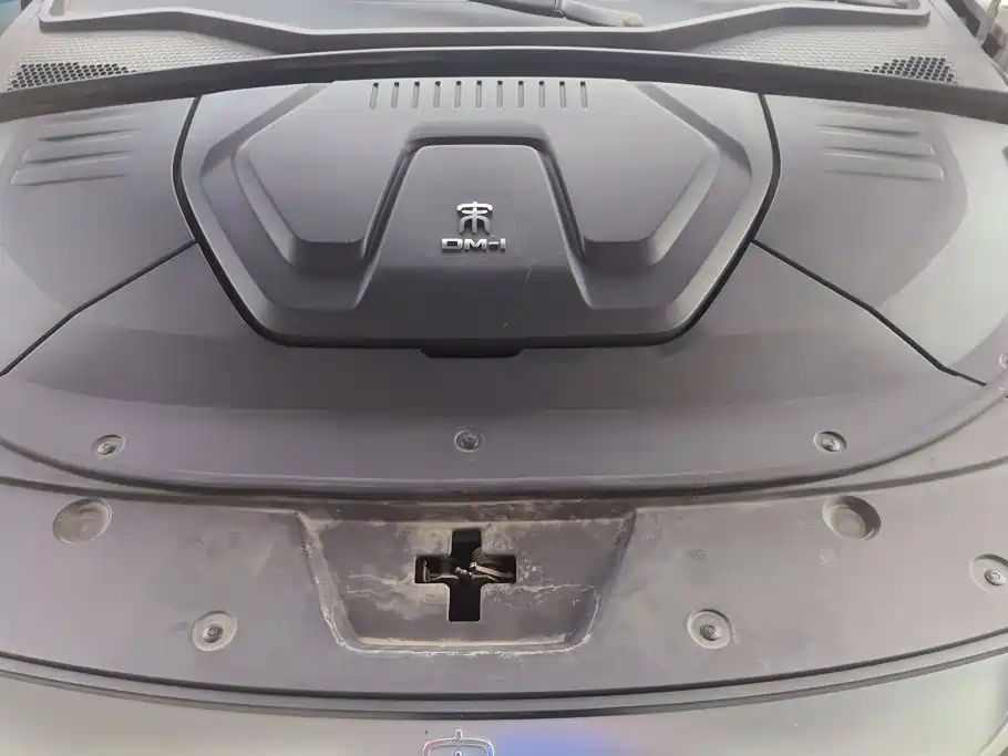 BYD Song PLUS New Energy 2022 — фото 10
