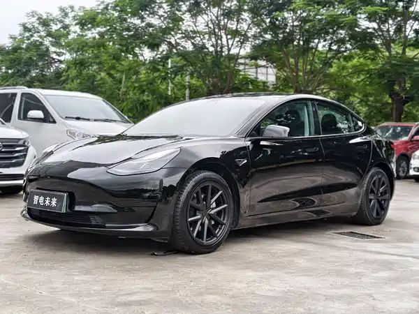 Tesla Model 3 2021