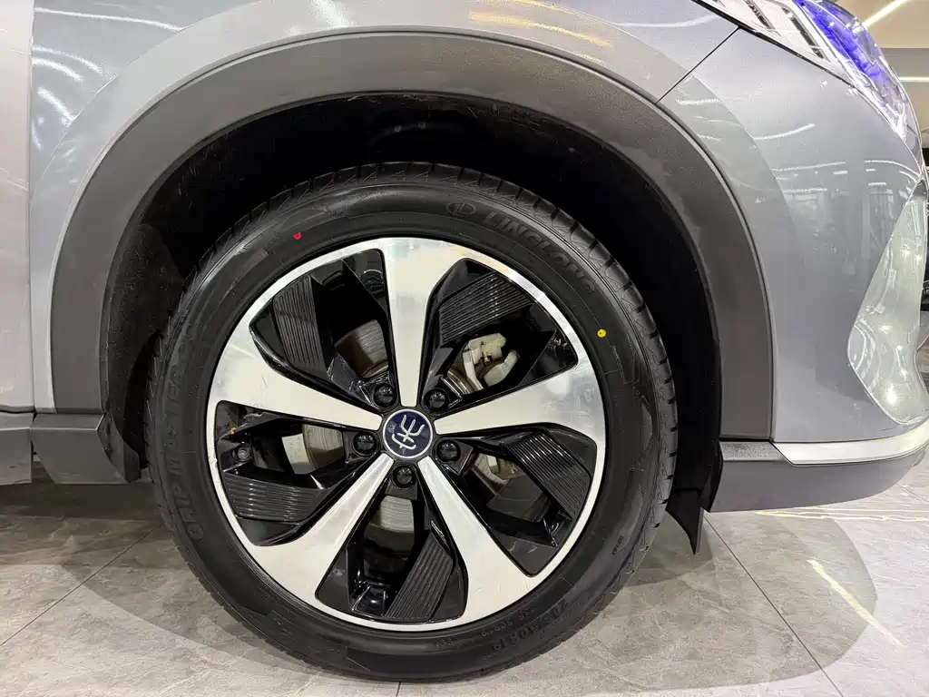 BYD PLUS New Energy 2023 — фото 13