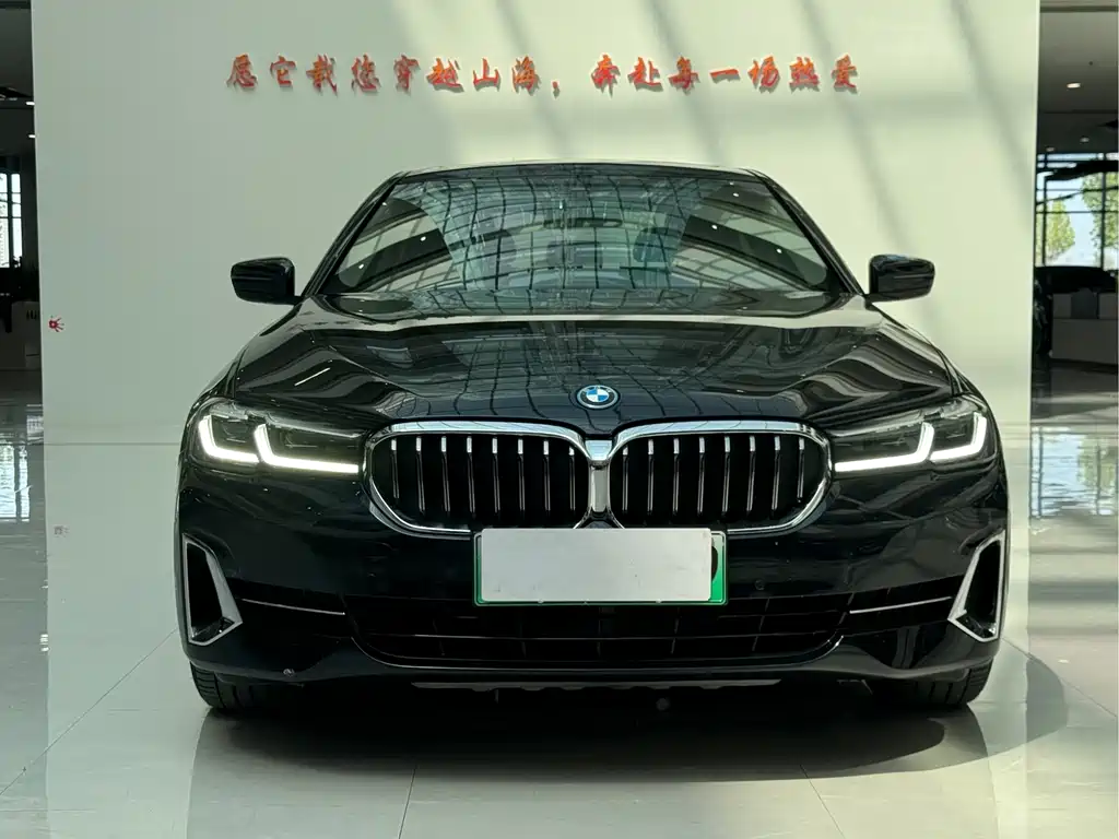 BMW 5 Series New Energy 2022