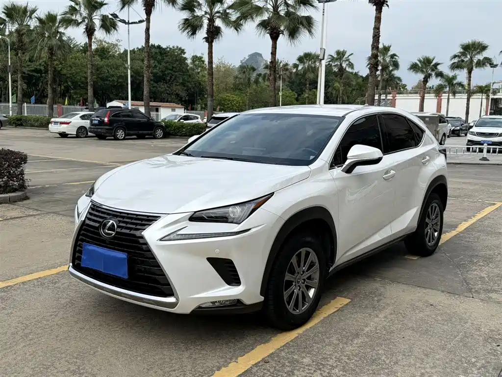 Lexus NX 2021 — фото 1