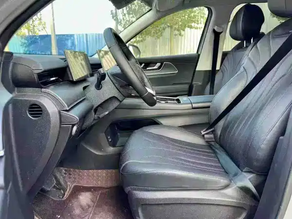 Chery Fengyun T9 2024