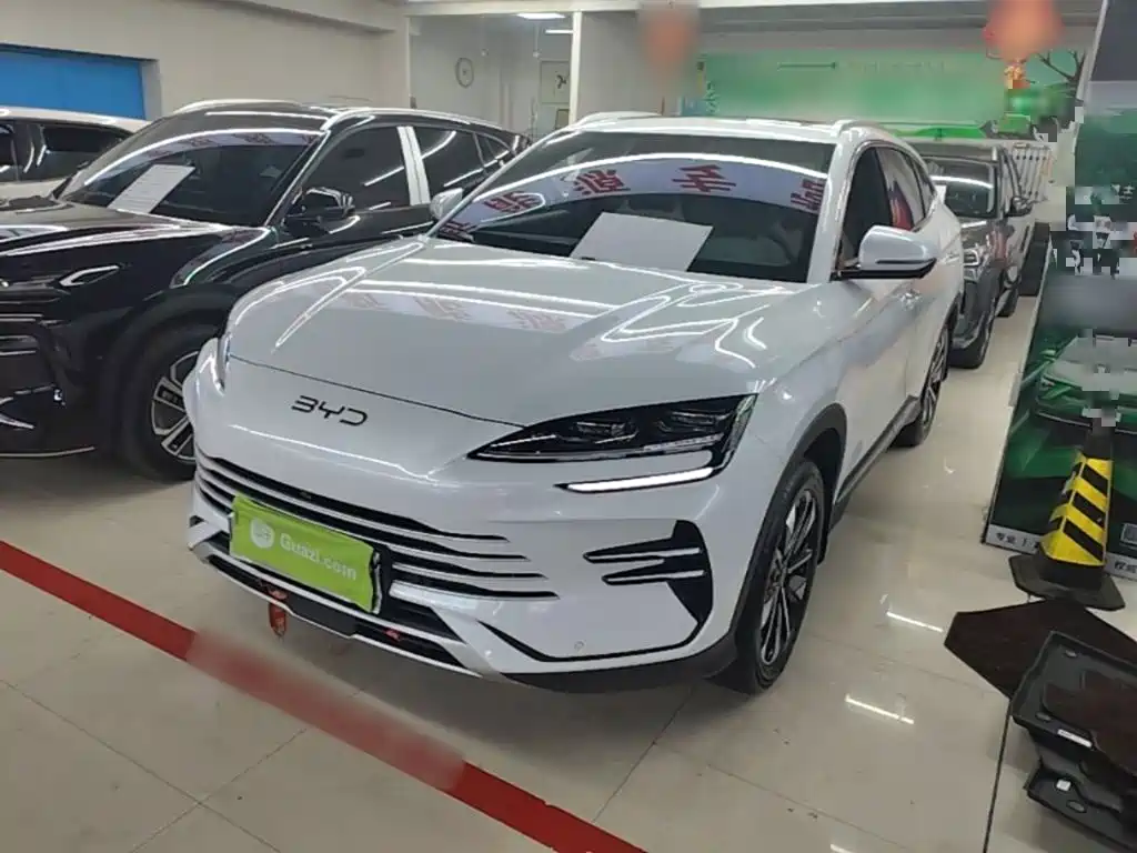 BYD PLUS New Energy 2025 — фото 2