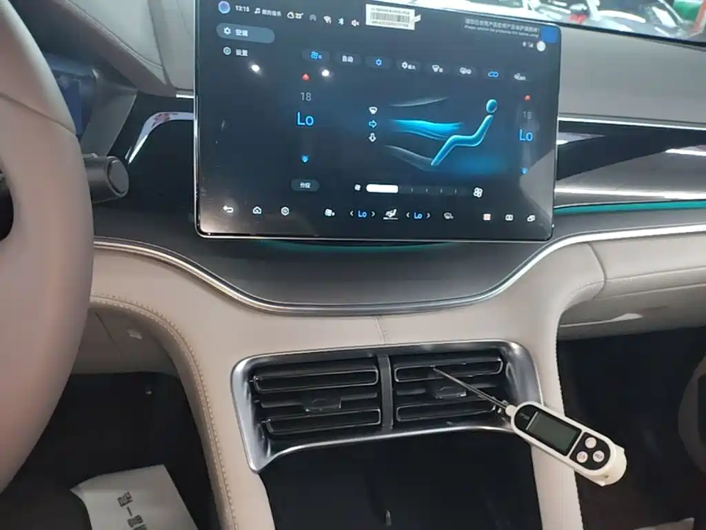 BYD PLUS New Energy 2025 — фото 13