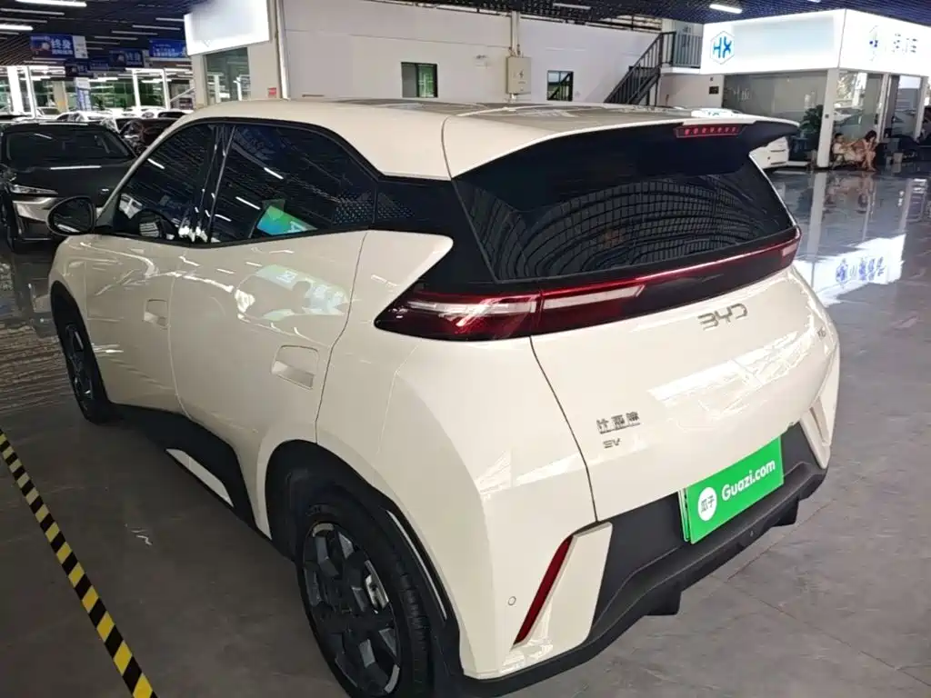 BYD Seagull 2024