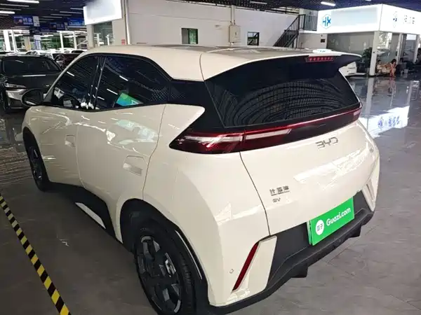 BYD Seagull 2024