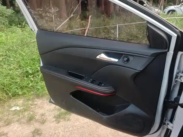 Chevrolet Monza 2020