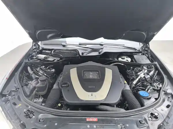 Mercedes-Benz S-Class 2010