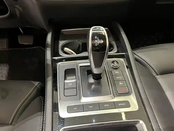 BYD Song MAX New Energy 2020
