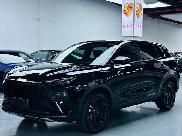 Dongfeng Haoji 2025