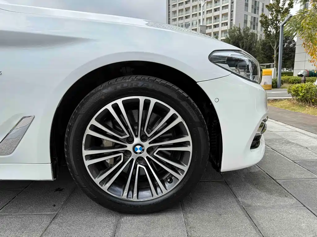 BMW 5 Series 2018 — фото 30
