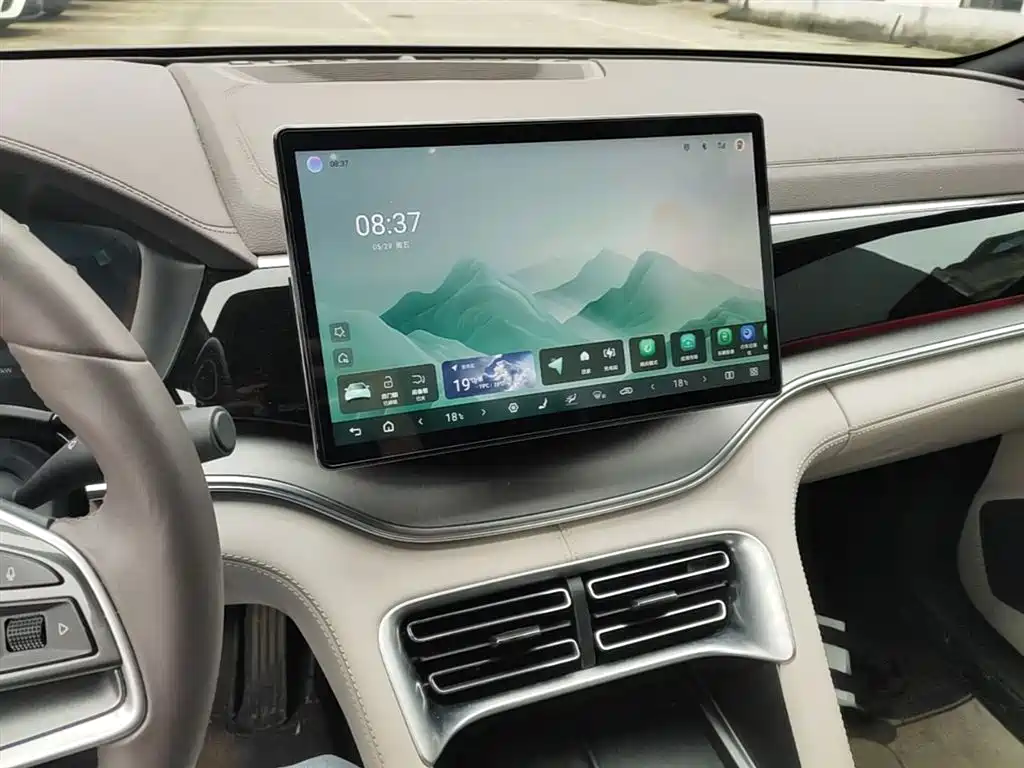 BYD PLUS New Energy 2024 — фото 13