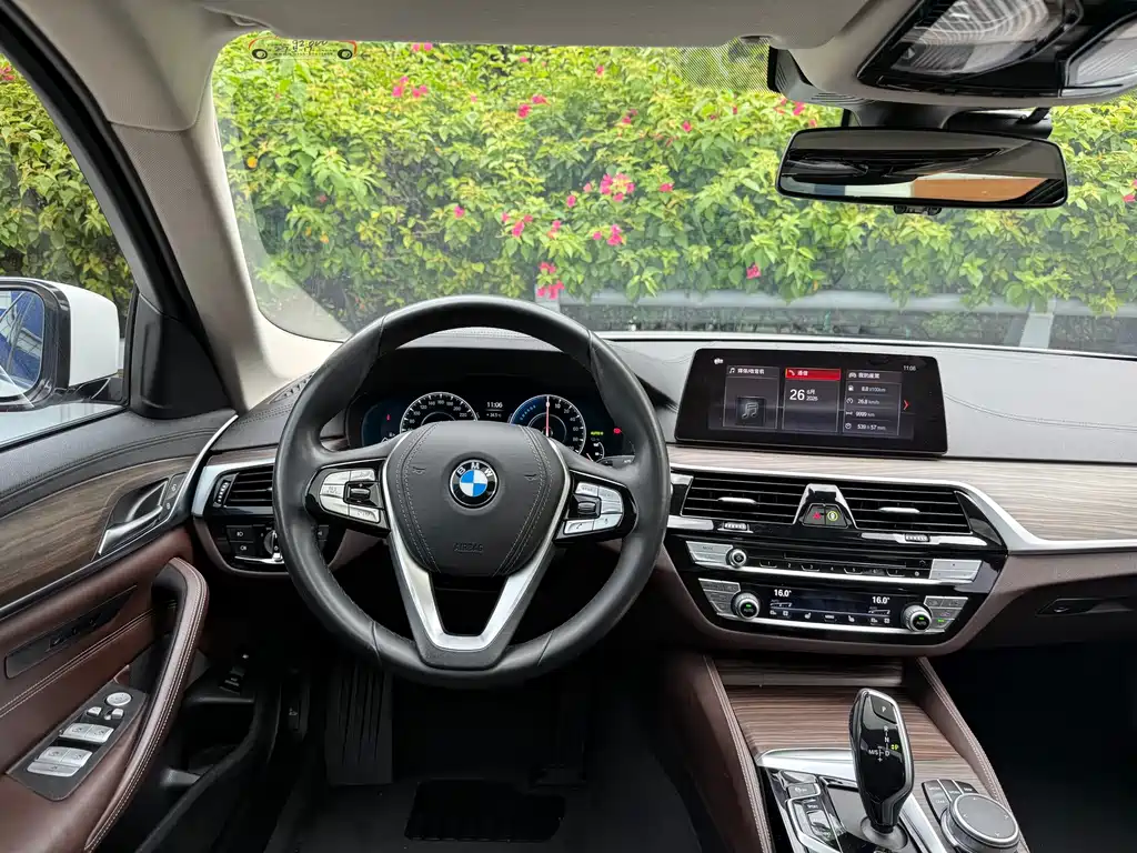 BMW 5 Series New Energy 2019