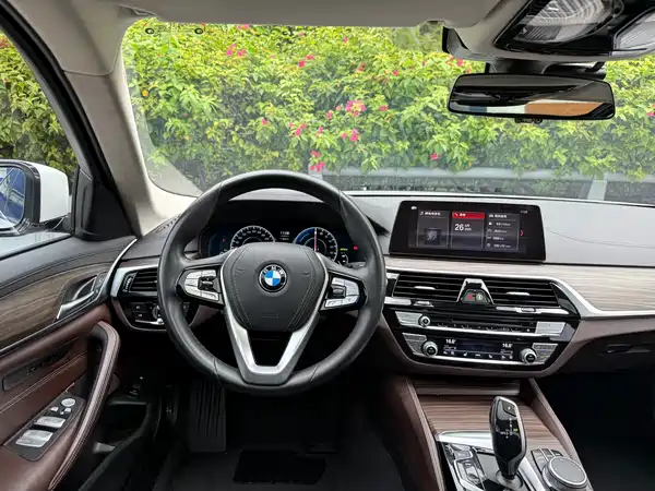BMW 5 Series New Energy 2019