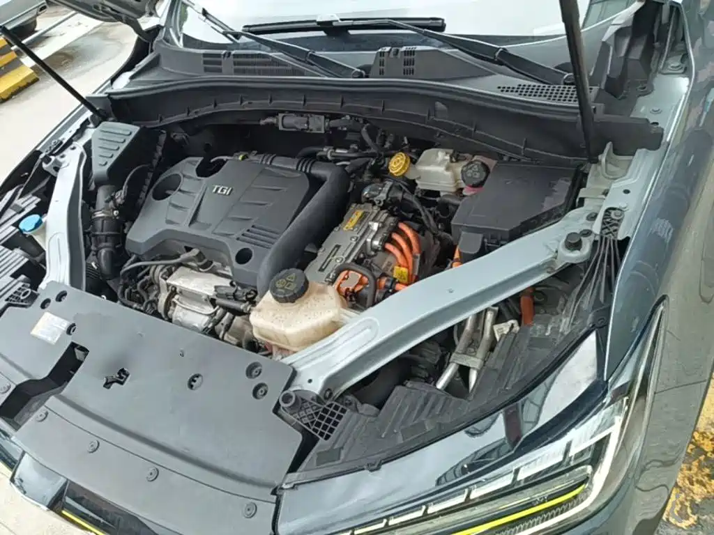 Roewe RX5 New Energy 2020 — фото 20