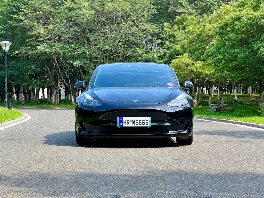 Tesla Model 3 2021 — фото 3