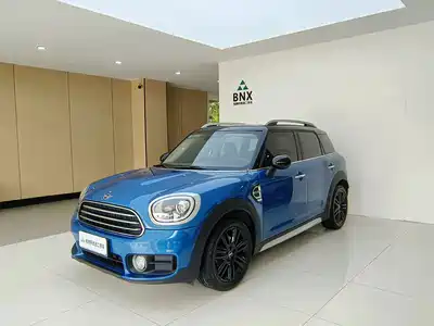 MINI MINI 2019