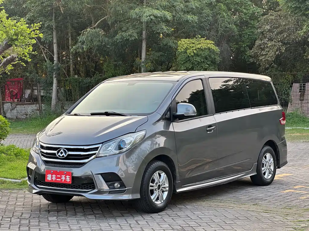 Maxus G10 2019