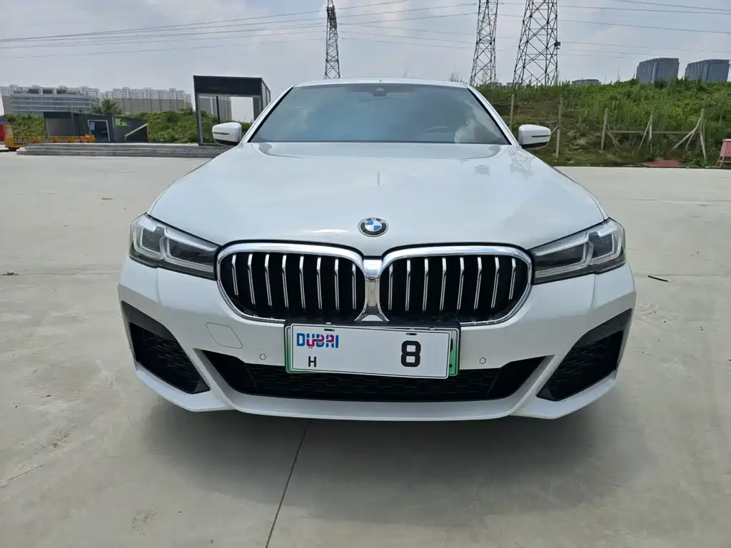 BMW 5 Series New Energy 2020 — фото 2