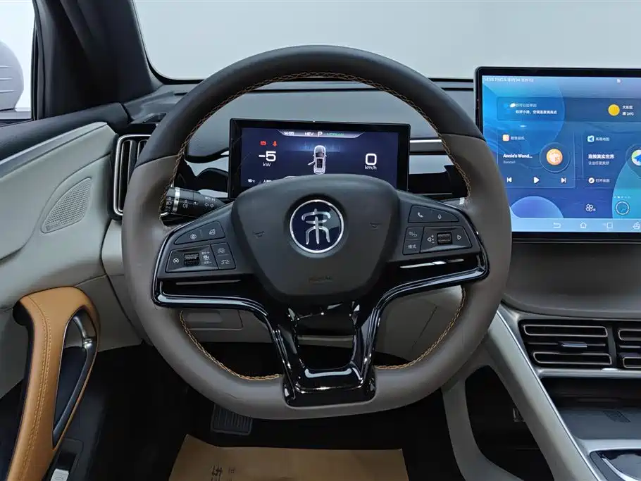 BYD Pro New Energy 2023 — фото 15