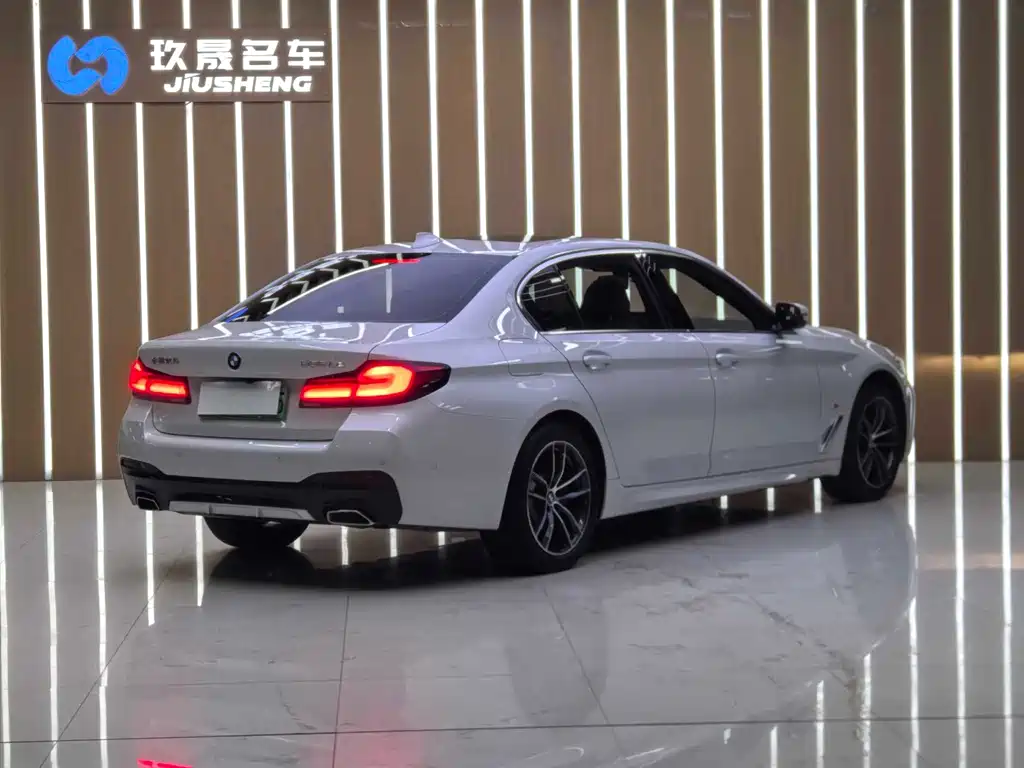 BMW 5 Series New Energy 2021 — фото 20