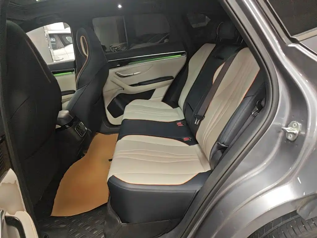 BYD Song PLUS New Energy 2022 — фото 17