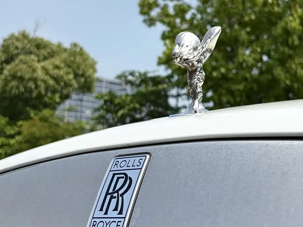 Rolls-Royce Dawn 2018 — фото 23