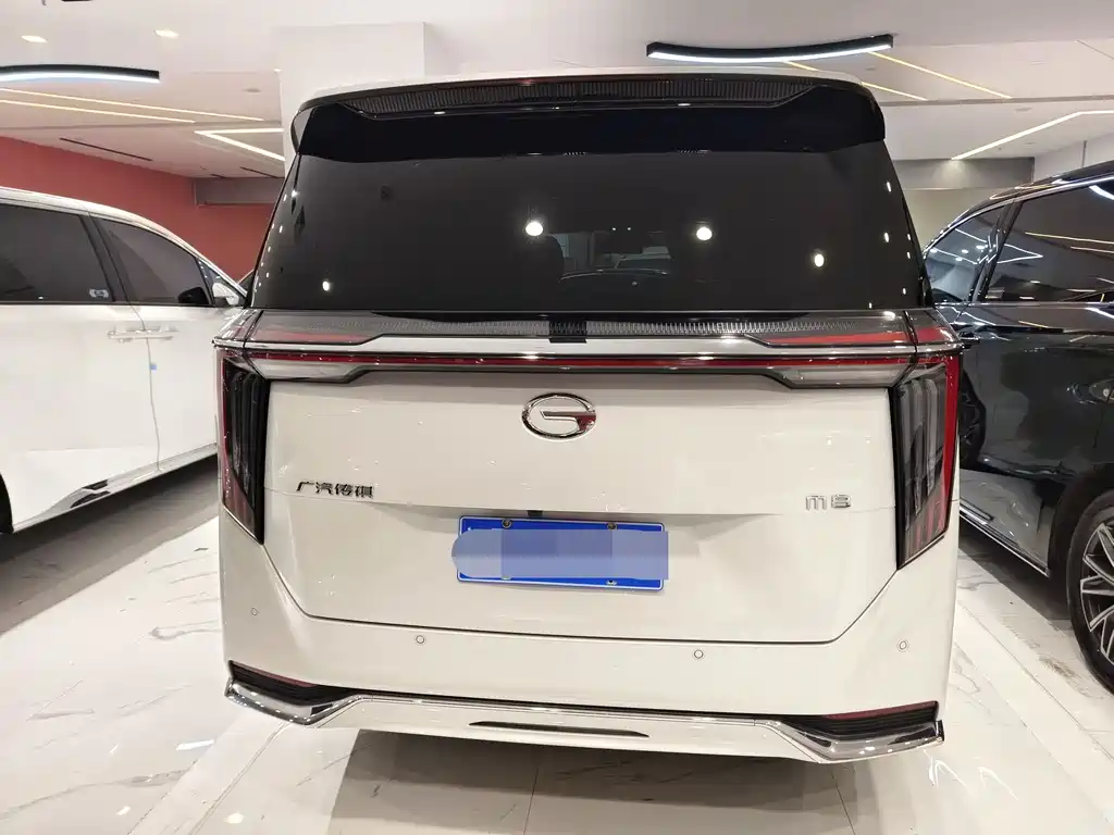 GAC Motor Trumpchi M8 2024 — фото 15