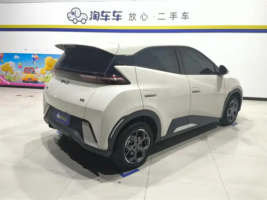 BYD Seagull 2024