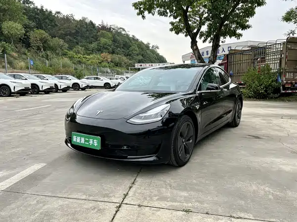 Tesla Model 3 2020